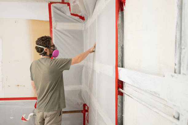 Best Asbestos and Lead Testing During Mold Inspection  in Ivanhoe, CA
